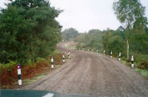 Track Reinstatement