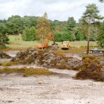 Heathland Restoration