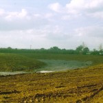 Site and Land Clearance