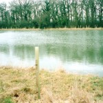 Pond and Lake Excavation