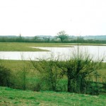Pond and Lake Excavation